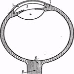 ������������� ������ �����