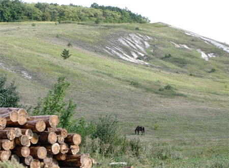 ������� ����. ����